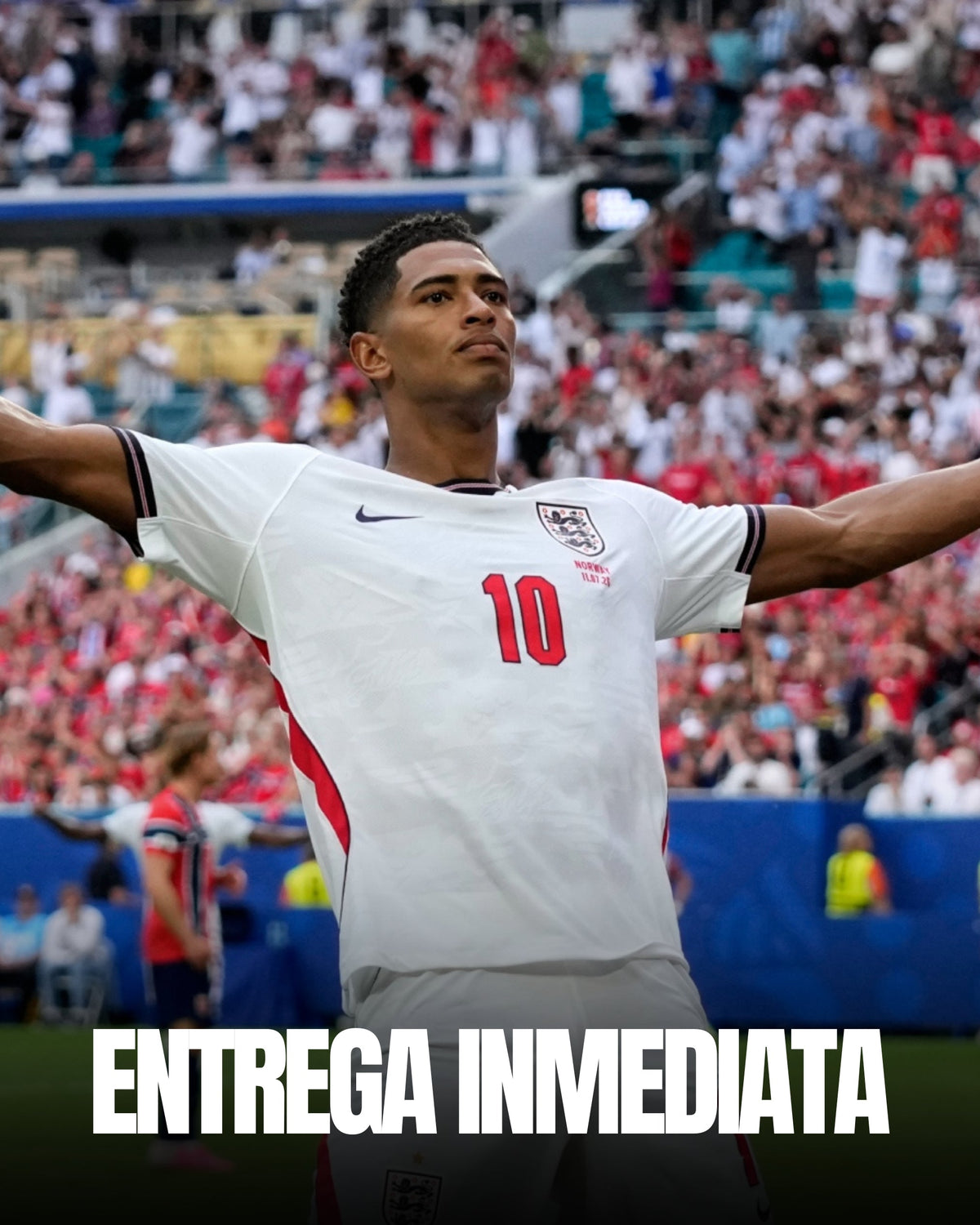 ENTREGA INMEDIATA (2 a 5 días)